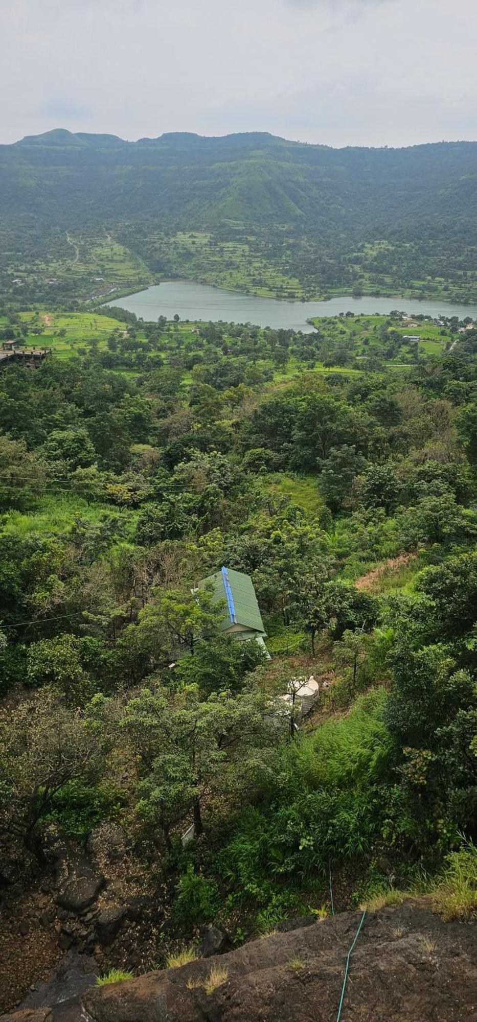 Forest Den Vila Pune Exterior foto