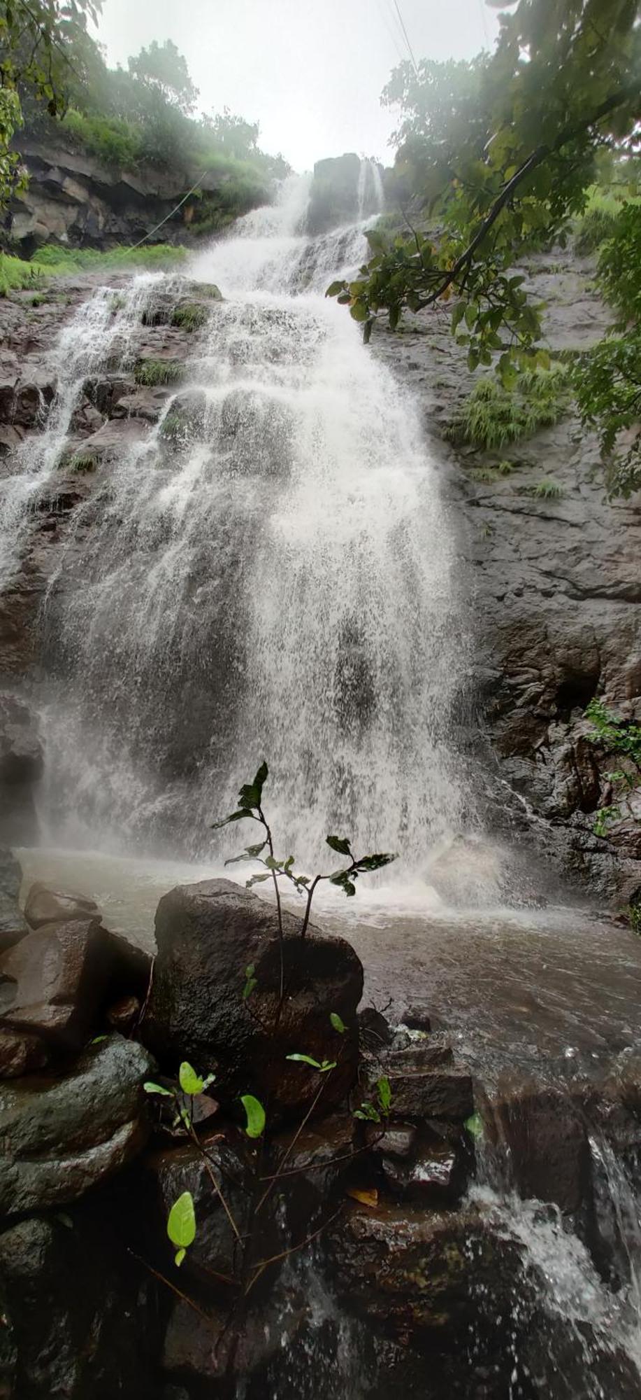 Forest Den Vila Pune Exterior foto